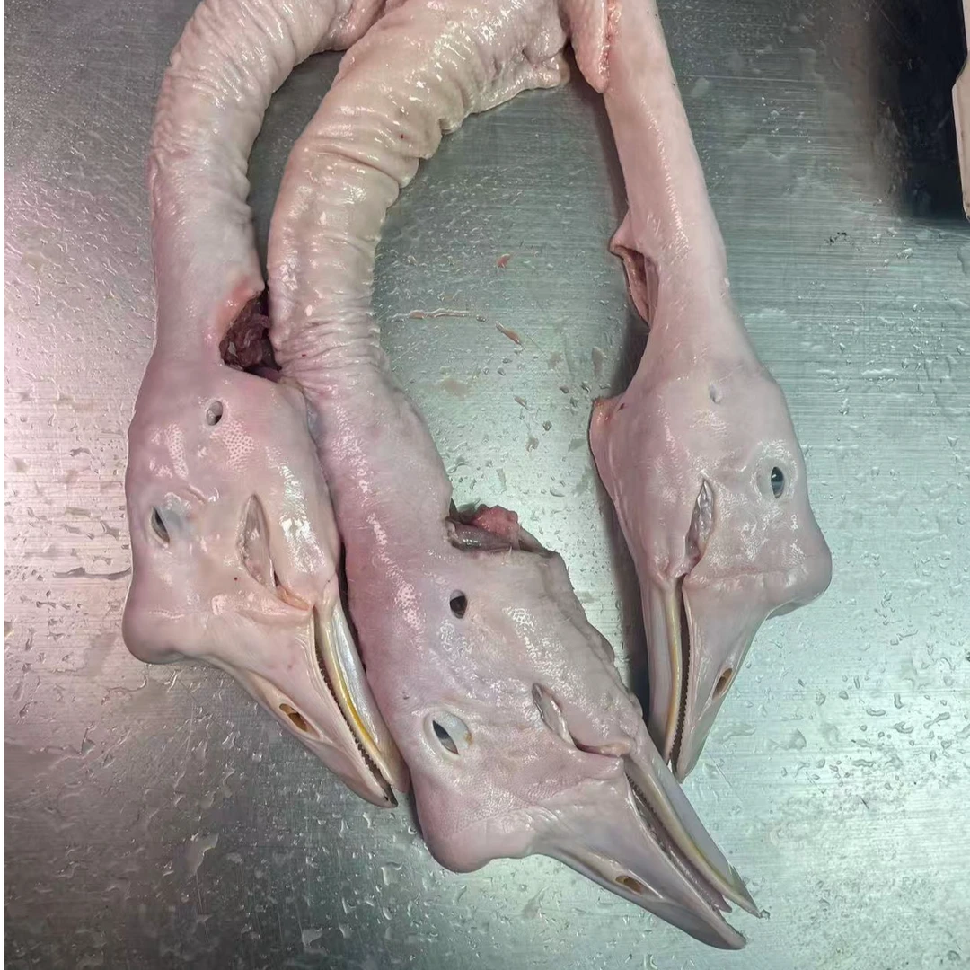 安徽皖西白鹅冬鹅鹅头鹅脖生鲜3根装