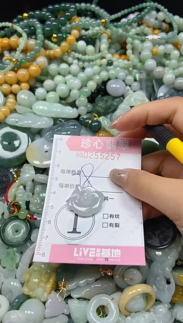 翡翠未镶嵌颈饰闪购0255257多样性发其一