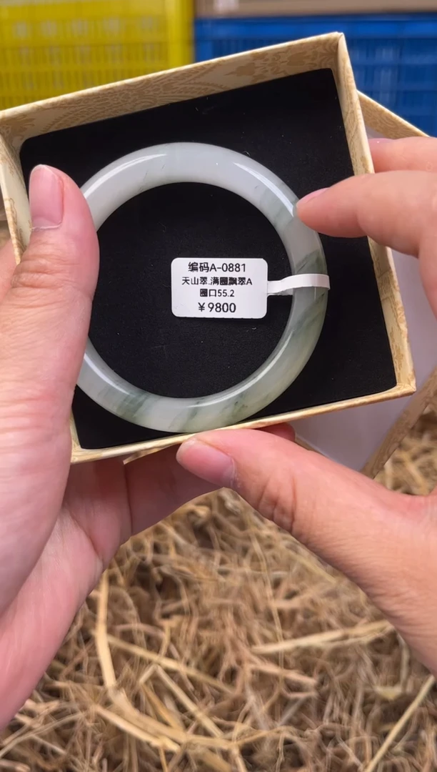 未镶嵌手镯石英质玉A-0881