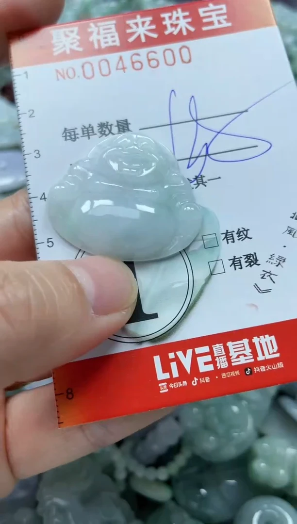 【闪购商品】翡翠颈饰未镶嵌闪购0046600