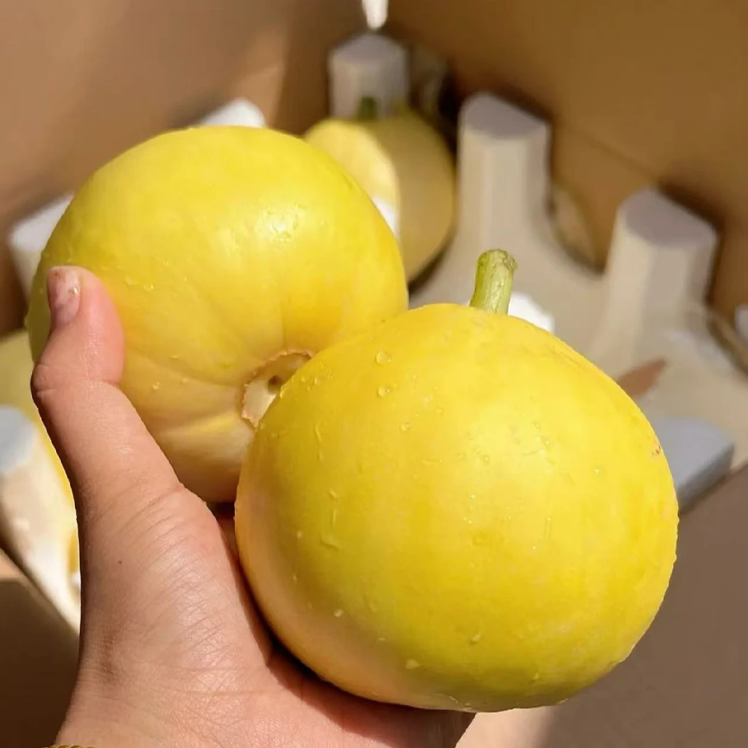 【散装】【Y】好吃甜瓜（份/4斤左右）仅限太原榆次可拍