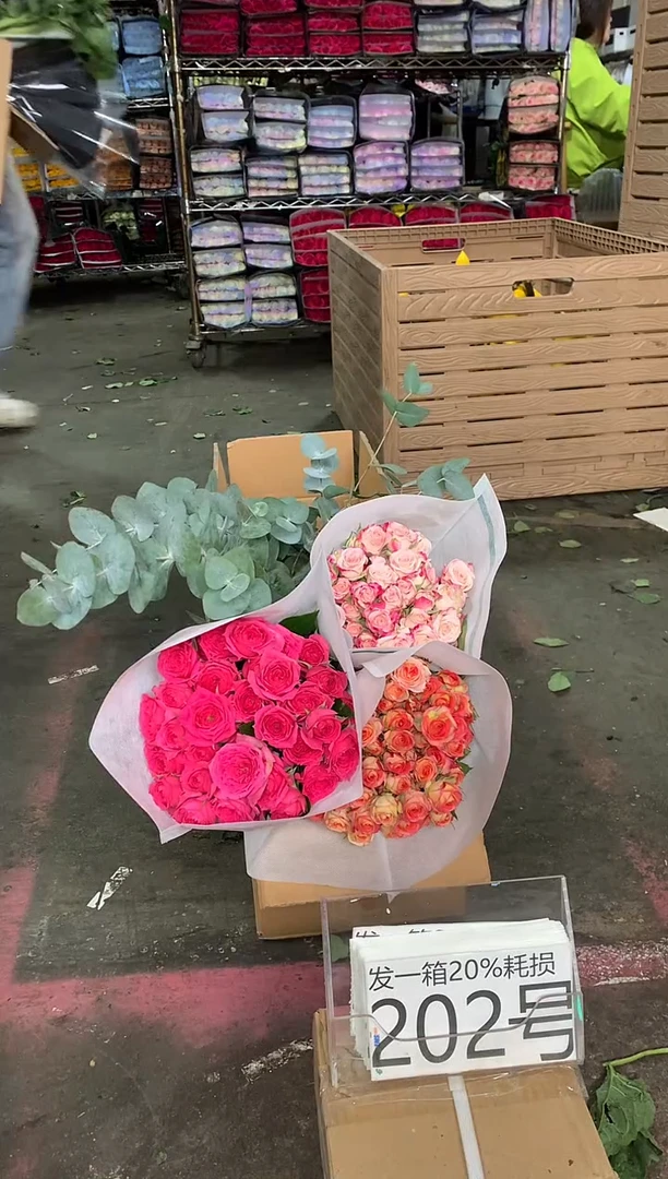 202号♥含20%耗损发一箱