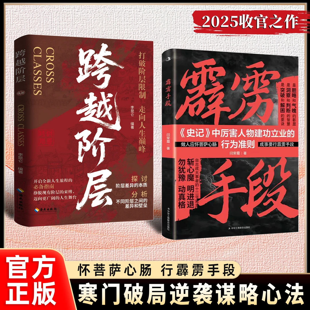 霹雳手段：成事破局的谋略心法 逆袭翻身的金科玉律YM