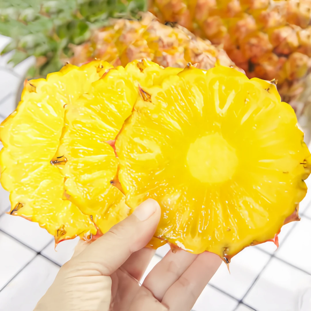 【内蒙包邮】海南金钻凤梨新鲜净重4.5-5斤（收到需催熟食用）