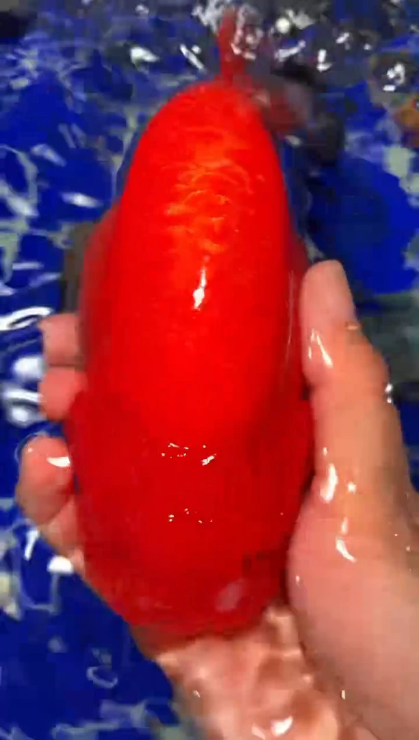 金鱼（运费自理，马印灯照射）福州追鱼兰寿金鱼