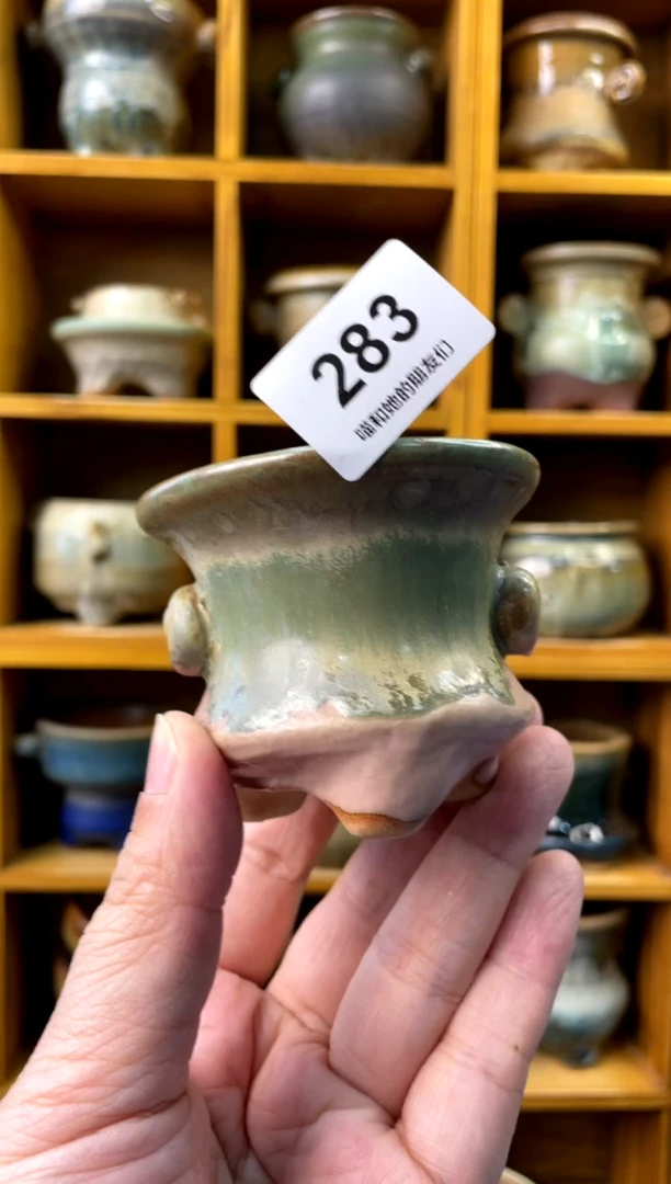 283 内口6【多肉花盆多肉盆】