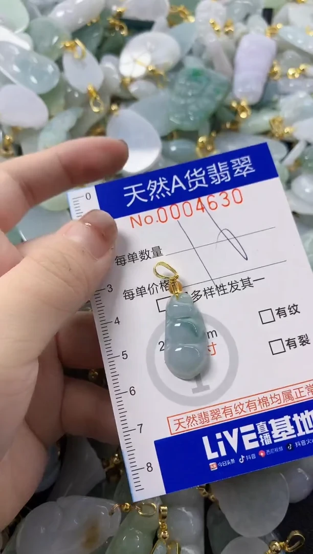 颈饰未镶嵌翡翠天然A货翡翠