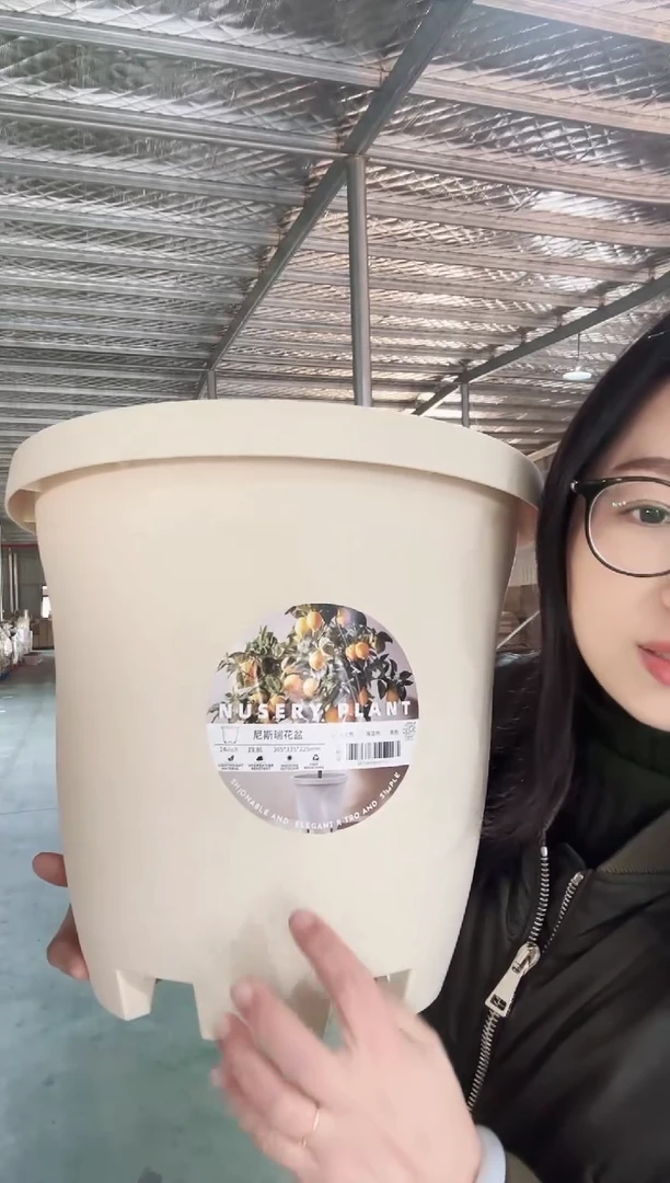 【闪购商品】塑料尼斯瑞米色5只带底碟带标贴