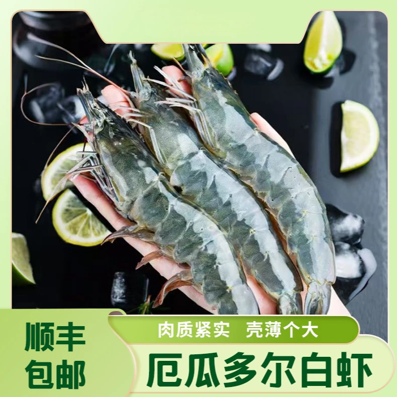 【巴昱凯专属】原盒进口厄瓜多尔白虾速冻肉质鲜美1.65KG