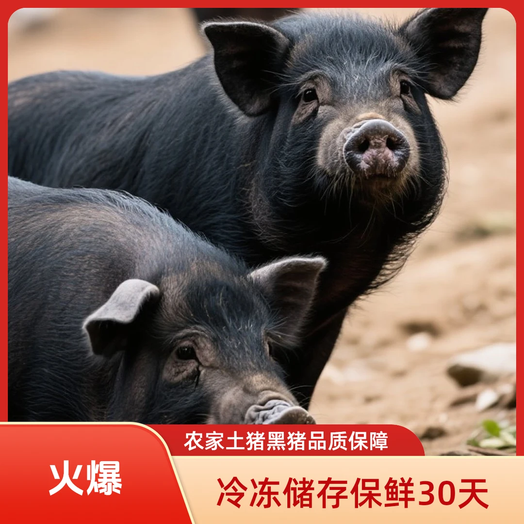 【前后腿肉】湘西散养跑山猪 农家土猪 黑猪 鲜猪肉