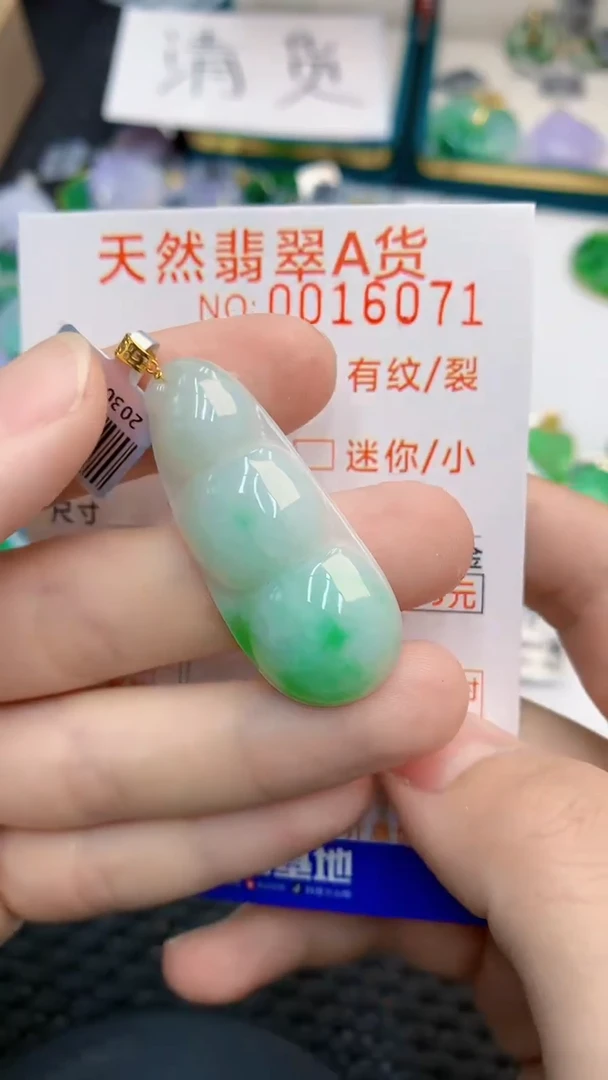 翡翠18K金镶嵌颈饰           1