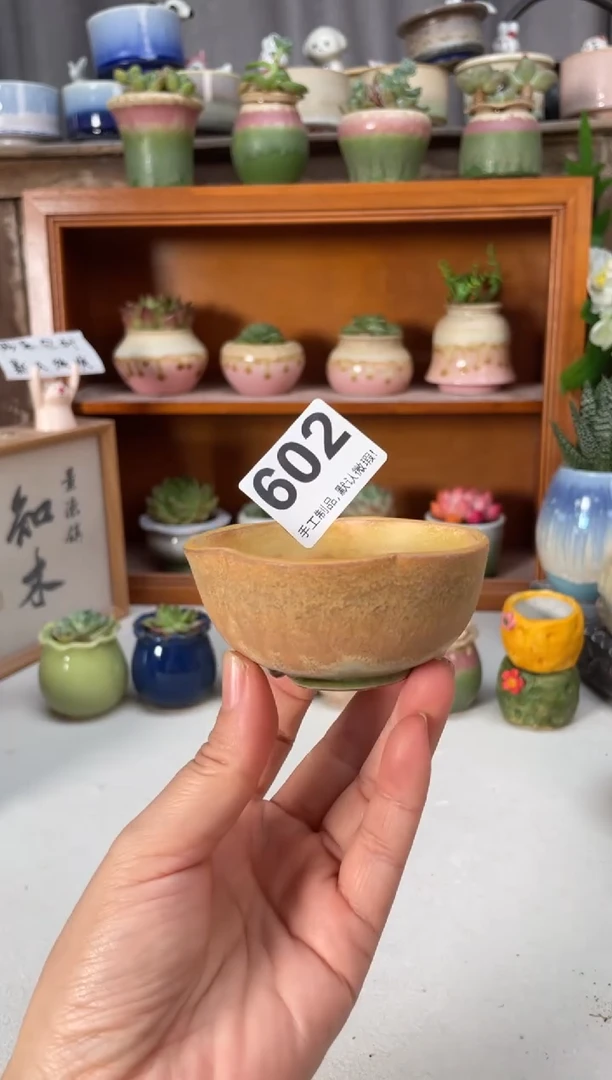 瓷片602知木小芳花盆直播编号