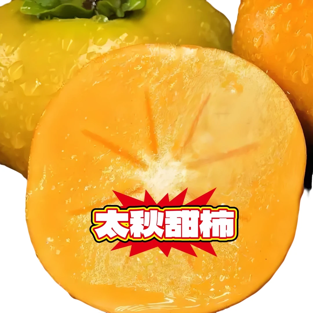 太秋甜柿农场福利(裸根苗)湖南益阳农场发货