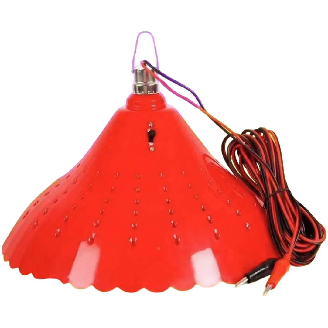 12夜市摆摊灯水果灯