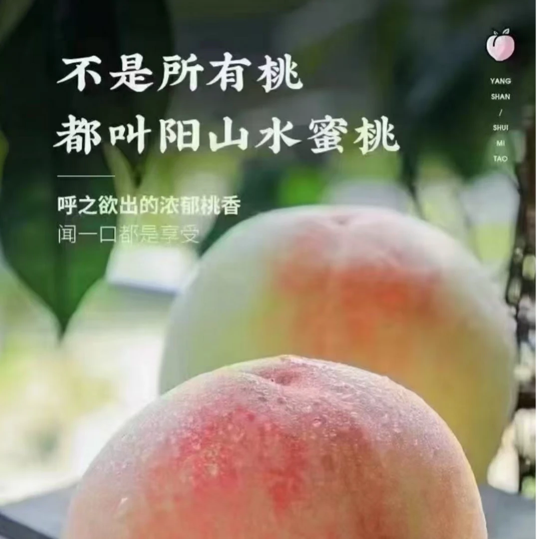 A正宗阳山水蜜桃当季新鲜水果脆软甜多汁5-4两到手16颗装桃子江苏省