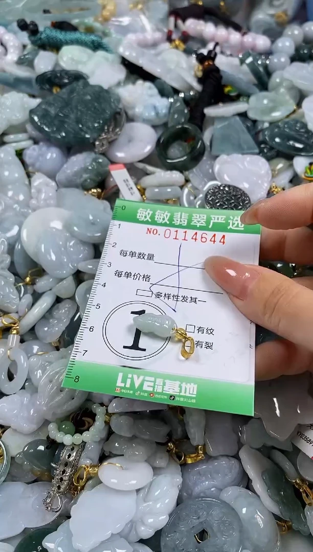 【闪购商品】翡翠颈饰未镶嵌闪购0114644
