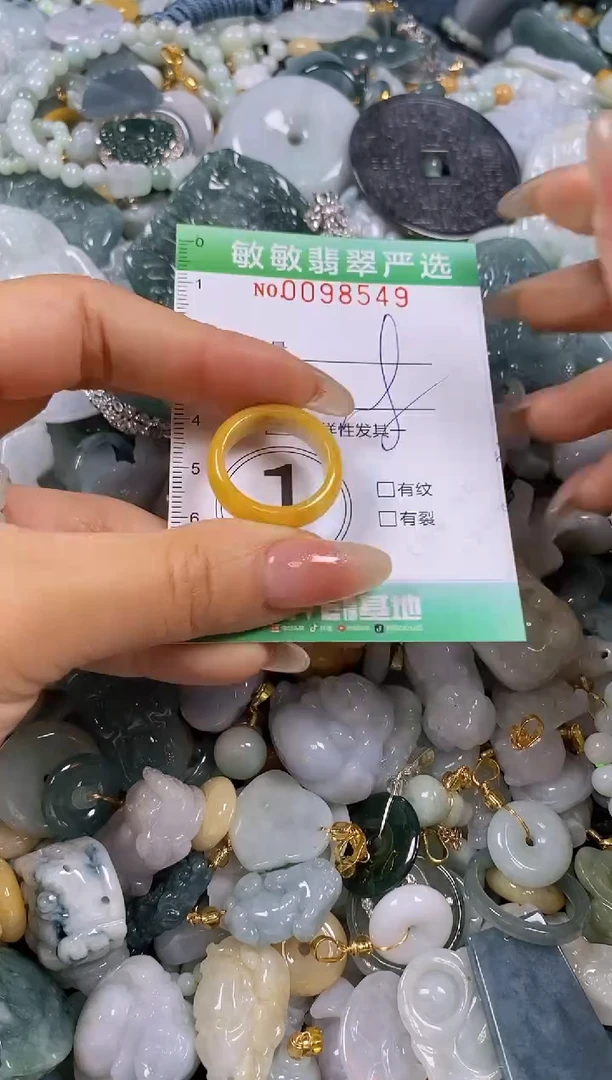 【闪购商品】翡翠颈饰未镶嵌闪购0098549