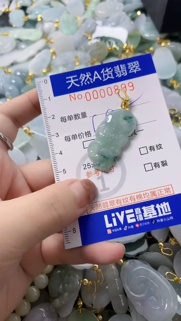 颈饰未镶嵌翡翠天然A货翡翠