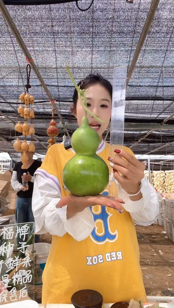 881天然葫芦摆件 一物一拍龙头不保售后