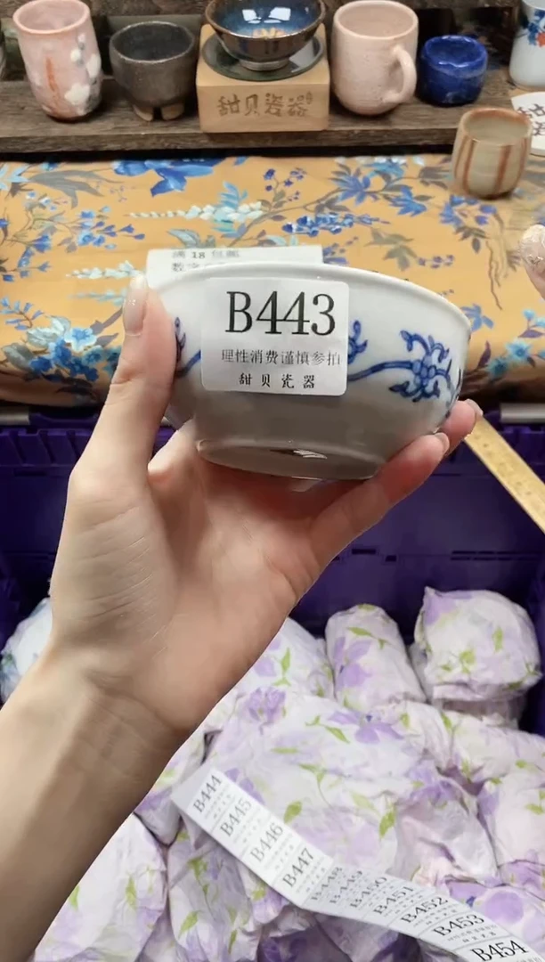 瓷片乌*                B443