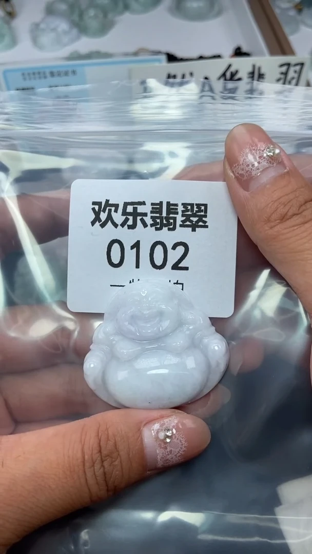 颈饰未镶嵌翡翠缅甸天然翡翠0102