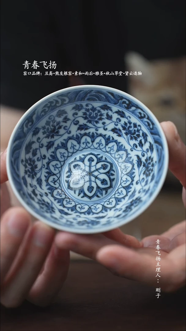 青春飞扬陶瓷浮力浮力