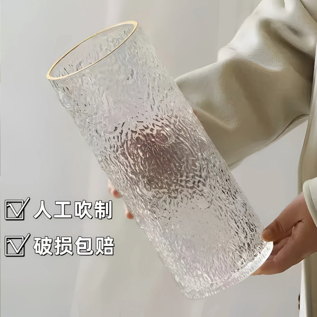 礼莎高级感水培客厅透明花瓶大号鲜花玻璃花瓶富贵竹插花加厚摆件