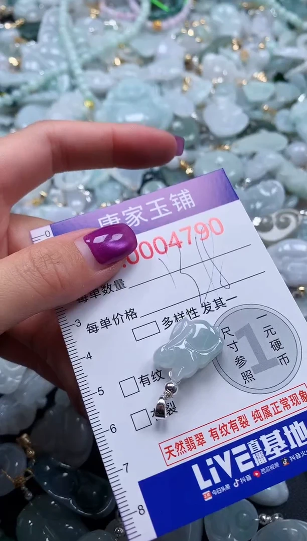 颈饰未镶嵌翡翠4790