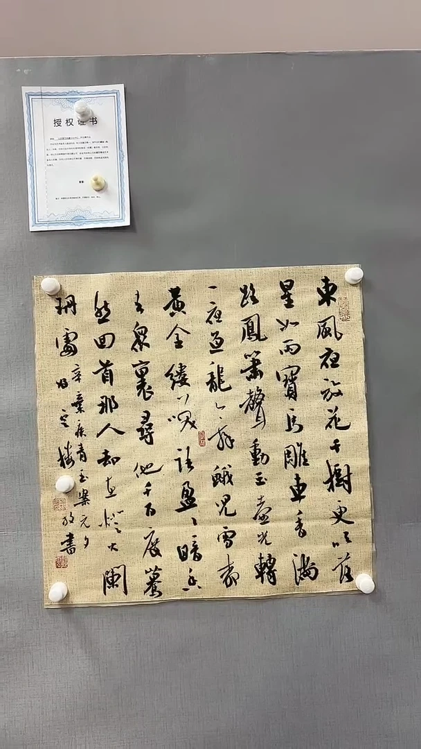 【闪购商品】书法雅艺典藏文化书法