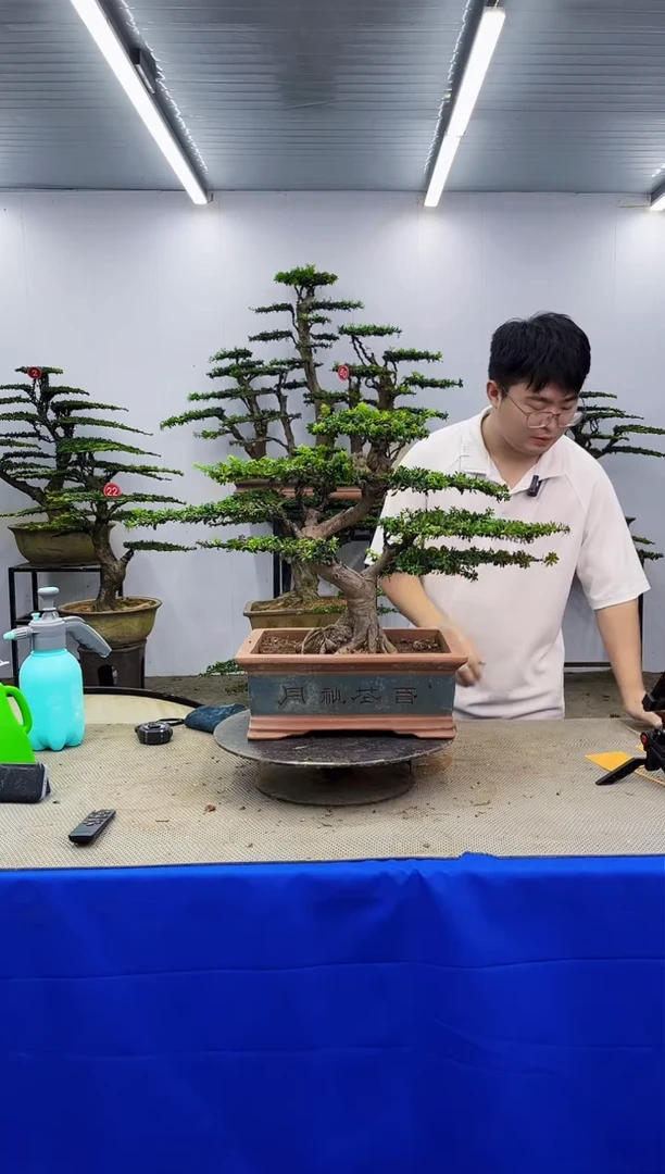无花朵缘***?一物一拍，所见即所得