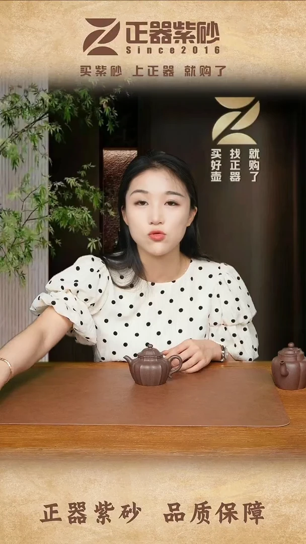 茶壶紫砂  孙敏红 秋水 紫泥215CC