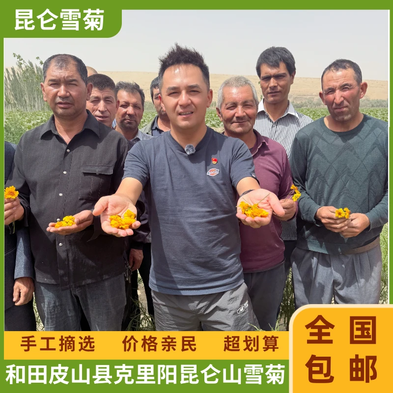 [全国包邮]新疆和田皮山县昆仑山雪菊花泡茶初级农产品
