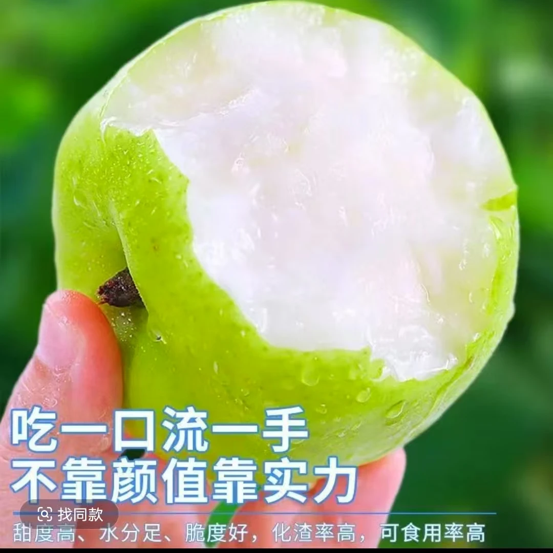 正宗砀山青皮蜜梨新鲜采摘皮薄肉嫩果肉细腻爆汁香甜个大爽口