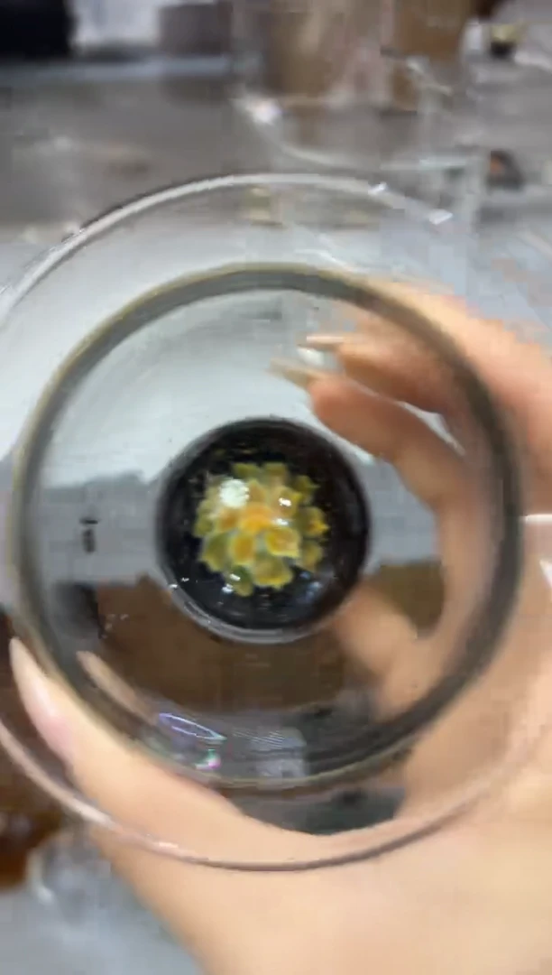 废**业禾器 无耳珀公道杯孤品