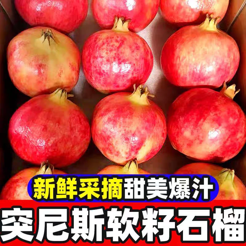 四川会理软籽石榴特大果新鲜现采当季软籽石榴营养美味孕妇水果