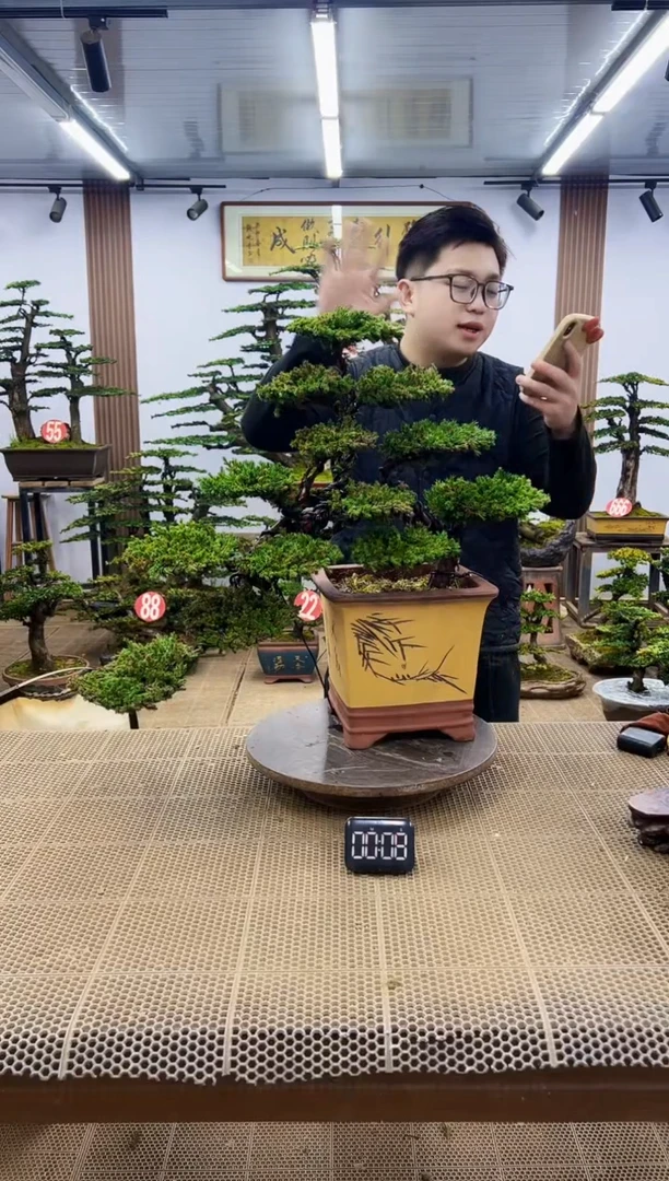 【闪购商品】一物一拍，所见即所得