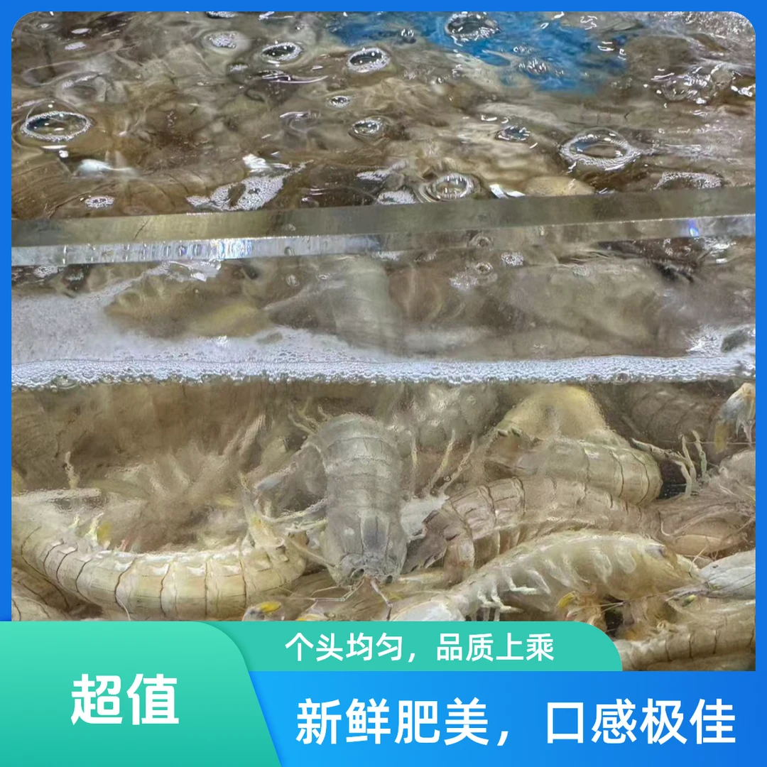【鲜活】鲜活皮皮虾/2斤装/打氧发货/不保活/杭州同城1小时