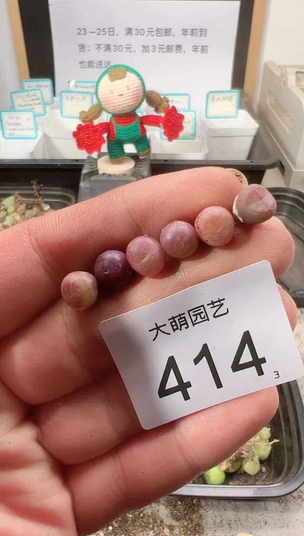 【闪购商品】++++414