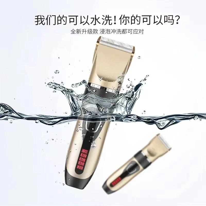 LED电显宠物理发器