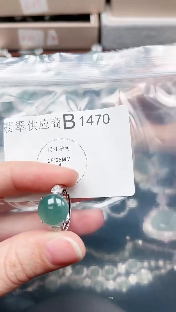 【闪购商品】翡翠颈饰未镶嵌1470赠皮绳