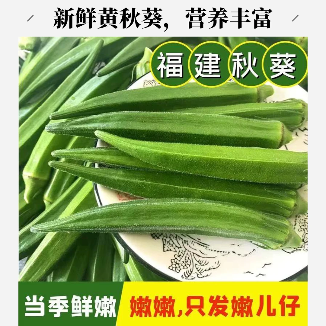 【现摘秋葵发货】新鲜秋葵露天鲜嫩水果黄秋葵现摘批发福建秋葵新鲜