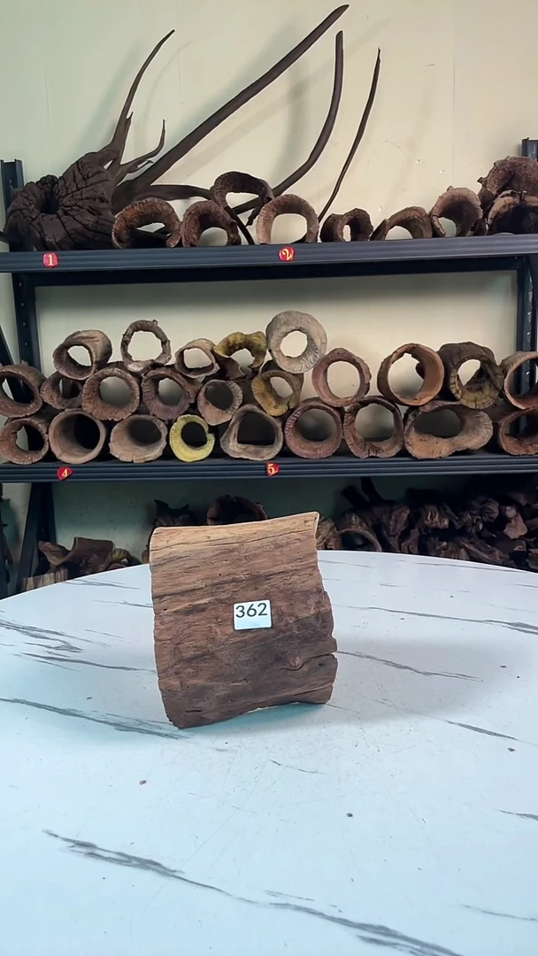 Z*长云南紫柚木造景沉木362