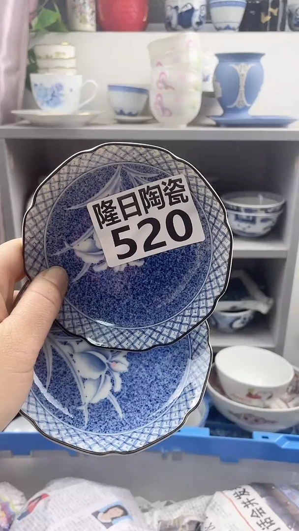 【闪购商品】瓷片520longritaoci