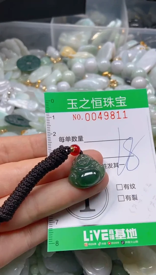 【闪购商品】翡翠颈饰未镶嵌闪购0049811