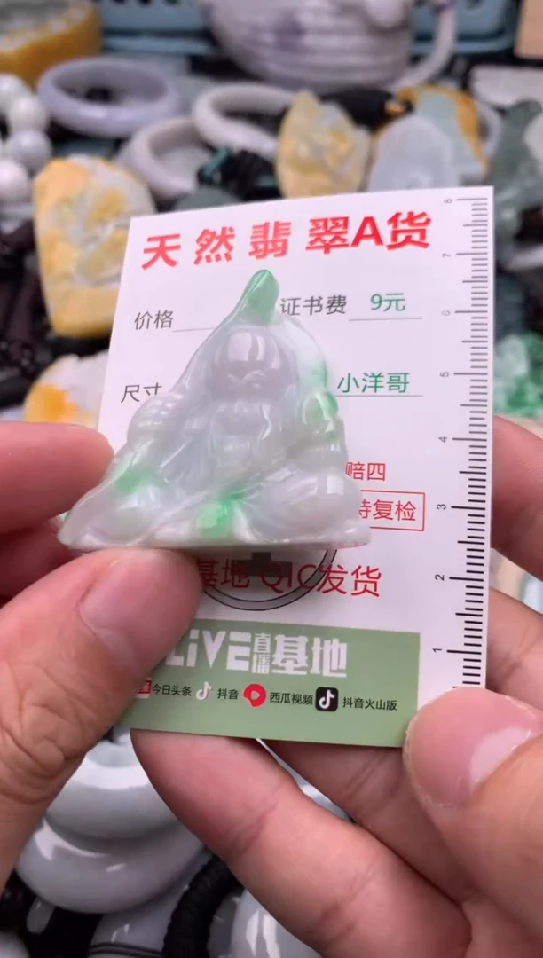 翡翠未镶嵌吊坠(不含链)1