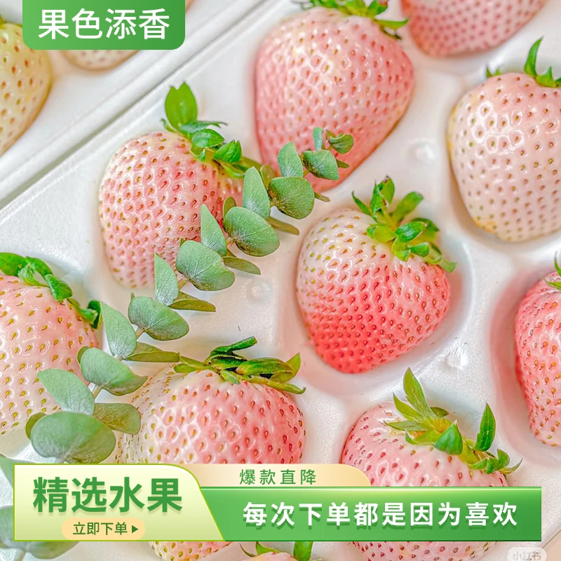 【淡雪草莓一盒】 果色添香 江苏淡雪草莓300g淡雪草莓中国大陆