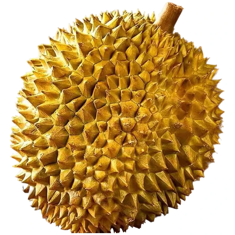 泰国5A金枕鲜果新鲜榴莲(2斤湿包)核小NO售后榴莲同城配金枕泰国