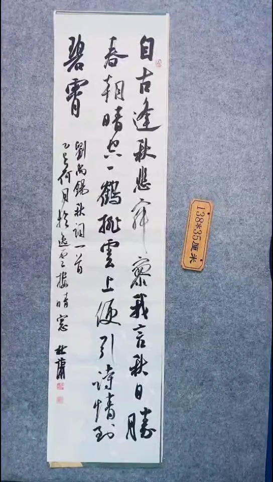 书法138中书协 杜潇书法放漏