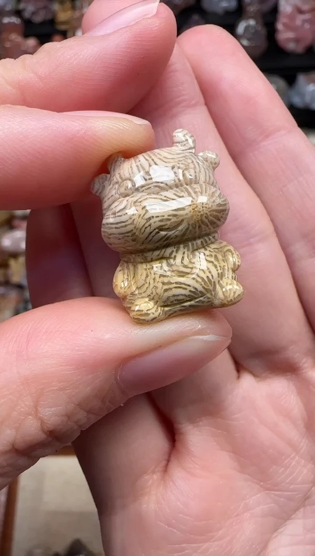 颈饰未镶嵌硅化珊瑚（珊瑚玉）841