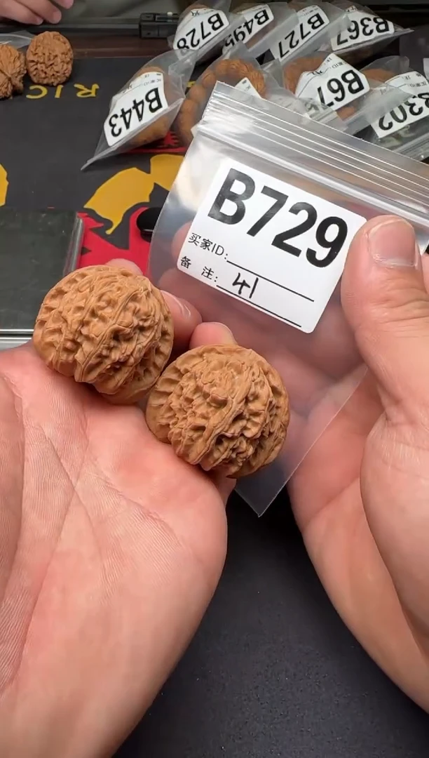 吊坠文玩核桃41白狮子B729